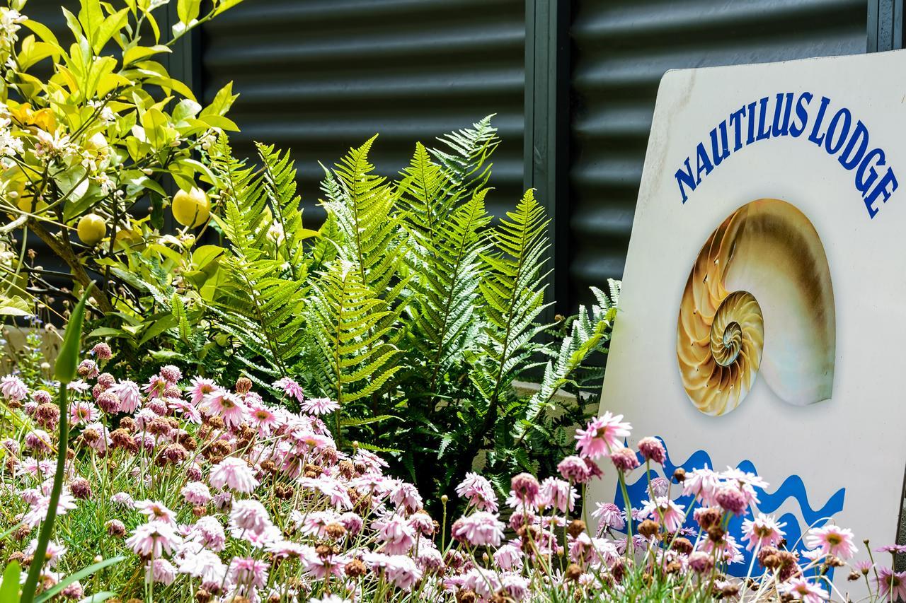 Nautilus Lodge Motel Motueka Dış mekan fotoğraf